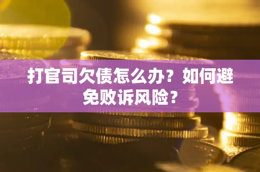 北京打官司欠债怎么办？如何避免败诉风险？